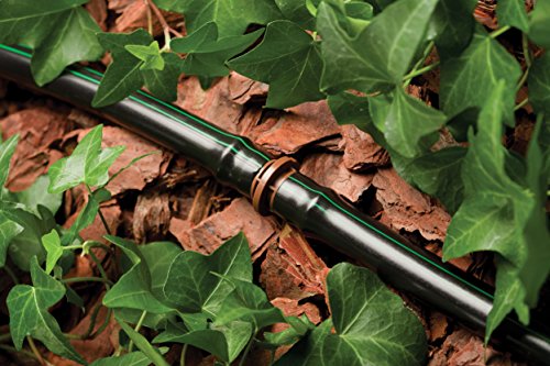 Rain Bird T63-500S Drip Irrigation 1/2" (0.634" Od) Blank Distribution Tubing, 500' Roll, Black #TOP1