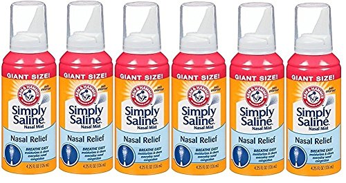 Arm & Hammer Simply Saline Nasal Mist Giant Size: 6 Packs of 4.25 Oz - //coolthings.us