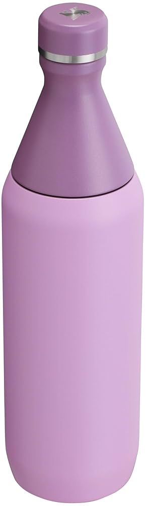 Stanley 20oz Vaccum lnsulated bottle 水筒 Stanley Classic Vacuum Water Bottle, Stainless Steel, 36 oz