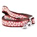 The Worthy Dog Aloha Dog Leash, Durable and Comfortable Nylon Webbing, Leashes for Walking, Fits Large Size Dogs, Coral