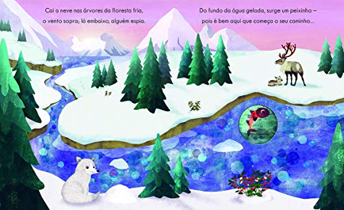 Rio. Uma Jornada Épica Para o Mar