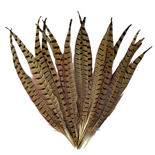 Topbuti 18 Pcs Natural Pheasant Feathers, Crafts DIY Feather Tails for DIY Craft Clothing Dress-ups Home Party Decorations 30-35cm (11.8-13.8 inch)