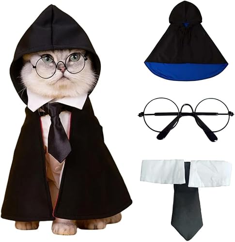 Ginkago Disfraz de Halloween para perro y gato, capa de disfraz de brujamago para fiesta de Halloween, cosplay, accesorio de fotos con gafas y
