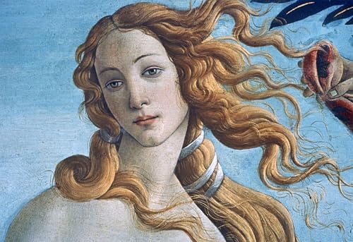 Affiche Naissance de Vénus Botticelli poster sur toile grand format décoration salon 60x90cm