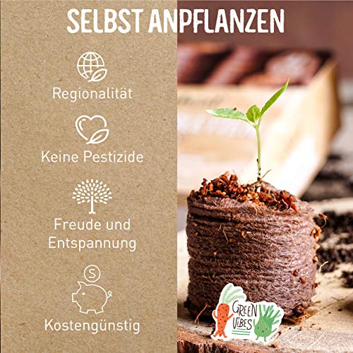 valeaf Kokos Quelltabletten 42 STK mit Nährstoffen I torffreie Kokoserde Anzuchterde mit Startdünger I Kokosquelltabs I Pflanzen für Anzucht I ideal für Stecklinge I Anzucht Erde ohne Pikieren - Image 7