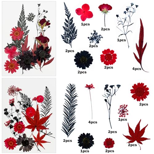 Flores secas prensadas Cayway 64 unidades rojo negro miniatura 3