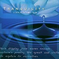 Algopix Similar Product 16 - Tranquility: Silence Follows Rain