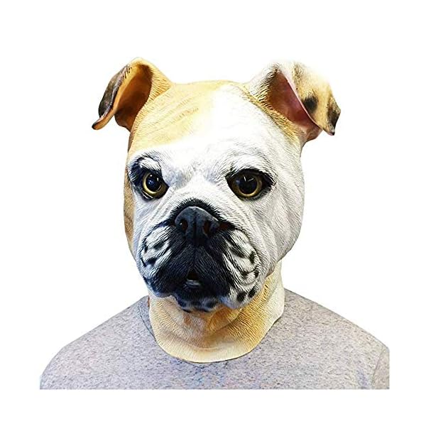 Halloween english bulldog mask latex animal dog mask full head realistic pet dog fancy dress up party costume props multicoloured - image 4