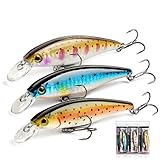 【Ausgezeichnetes Geschenk】 Wenn Sie ein begeisterter Angler sind oder Freunde haben, die vom Angeln besessen sind, eignet sich unser Köder sehr gut als Geschenk für sich selbst oder Ihre Freunde.