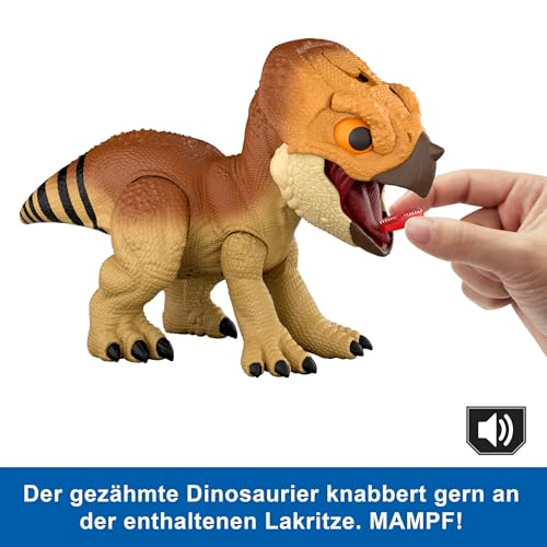 Mattel Jurassic World: Die Wiedergeburt Primal Protector Aquilops Dolores, interaktives Dinosaurier-Spielzeug mit Angriffsbewegungen und Brüllgeräuschen, elektronische Figur mit Nahrungszubehör, JGC01
