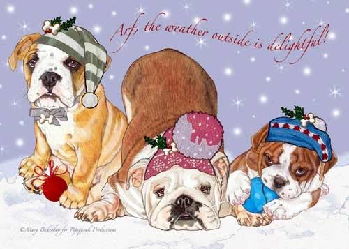 Pipsqueak Bulldog Christmas Cards : 10 Holiday Cards with Red Envelopes - ADORABLE!