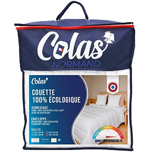 53130246 Piumino Ecologico Caldo 260 x 240 cm Busta e Imbottitura da Bottiglie Riciclate Morbido Setoso e Confortevole Finitura Accurata Lavabile Made in France