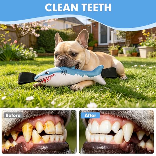 BINGPET Interactive Dog Toys for Small Dogs, Squeaky Dog Chew Toys to Keep Them Busy, Tug of War Puppy Training Toys for Chewers, Small & Medium Dogs, Fetch Lovers, Durable Puppy Necessities, Shark — view 4