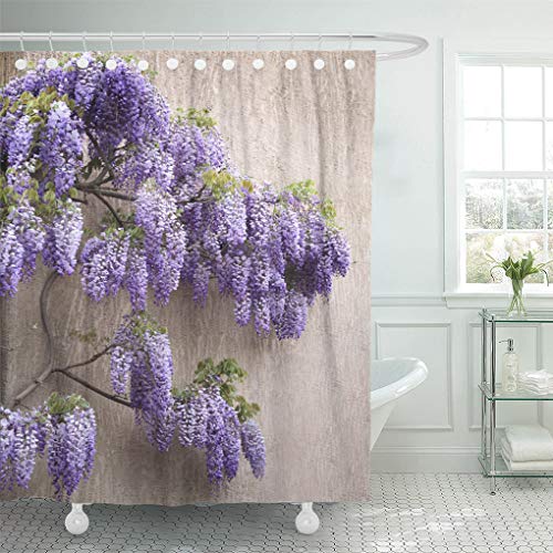 Semtomn Shower Curtain Admiration Lilac Cascading Purple Wisteria Blossoms Vine Admire Beauty Shower Curtains Sets with 12 Hooks 72 x 72 Inches Waterproof Polyester Fabric
