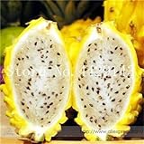Sump Fresh 50 piezas de semillas de frutas pitaya fáciles de cultivar blancas