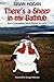 There's a Sheep in my Bathtub: Birth of a Mongolian Church Planting Movement