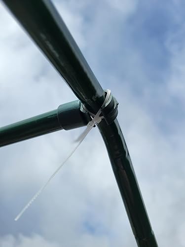 Review Image by LTW
