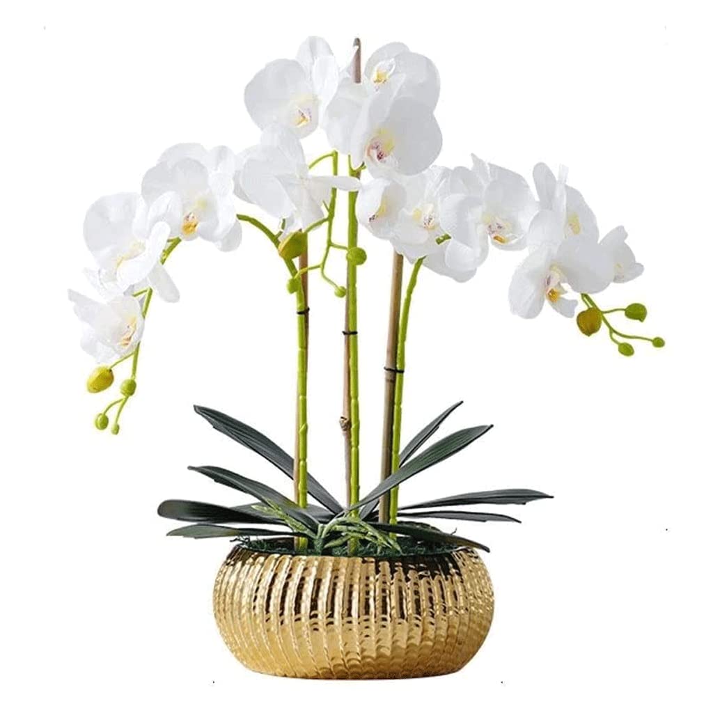 XDLEDMKIZ Orchid Artificial Flowers Artificial Phalaenopsis Flowers Simple Fashion Orchids Artificial Artificial Vivid Flowers Perfect Home Decorate natural look