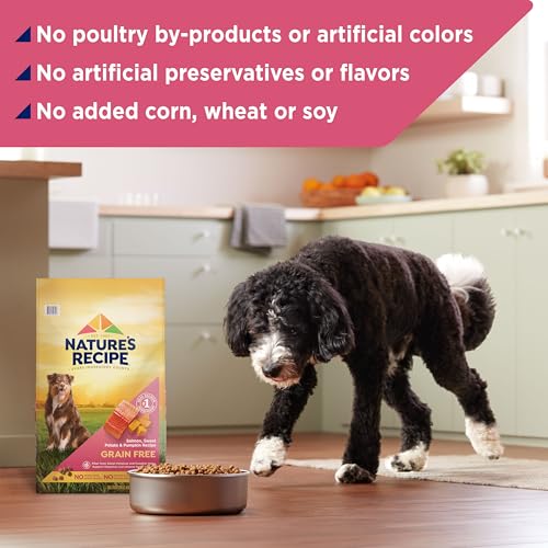 Nature’s Recipe Grain Free Dry Dog Food Salmon, Sweet Potato & Pumpkin Recipe, 24 lb. Bag - Image 6