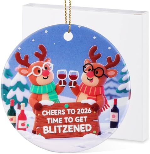 ZJR 3 Inch Double Sided Ceramic 2026 Christmas Ornament - Funny R...