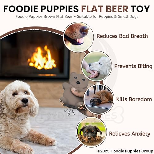 Image of Foodie Puppies Dog Squeaky Chew Latex Rubber Toy - (Brown Flat Beer) for Small Dogs & Puppies | Durable, Soft, Animal Design, Fetch & Chew Safe Play Toy | Reduce Separation Anxiety