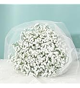 Smile☆ gypsohila☆fairy tops ranking_t-shirt – gypsophila