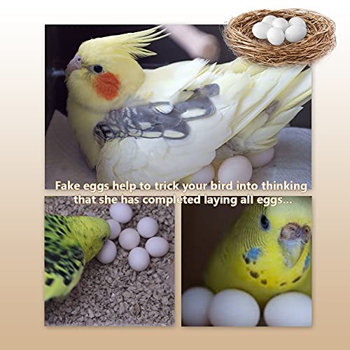 Image of MESINURS Solid Plastic Eggs - Parrot Bird Hatching Replacing Eggs for Guiding Birds to Stop Laying, 10 PCS (S)