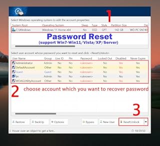 32GB - Bootable WinPE USB Drive for Windows 10 & 11,Password Reset, Network Drives (WiFi & LAN),Supported UEFI and Legacy, Data Recovery, Repair Tool