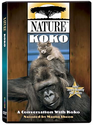 Nature: Koko - A Conversation With Koko [DVD]