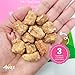 Ava's Pet Palace Turkey Poppers – Freeze-Dried Turkey Dog Treats with Pumpkin | High Protein, Grain-Free, Single-Ingredient Training Treats & Food Topper | Made in USA | No Preservatives