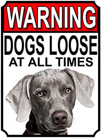 ALL BREEDS - BEWARE DOGS LOOSE AT ALL TIMES METAL SIGN GERMAN SHEPHERD 200MM X 150MM (998H1)