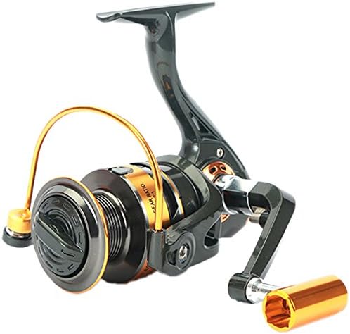 Dorada Spinning Fishing Reel Left/Right Interchangeable Collapsible Handle 5.2:1 Gear Ratio 11+1 Ball Bearings Freshwater Saltwater Fishing