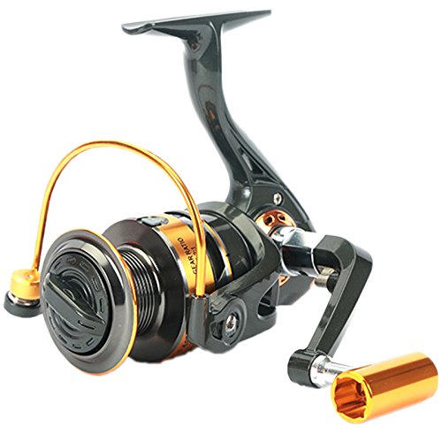 Dorada Spinning Fishing Reel Left/Right Interchangeable Collapsible Handle 5.2:1 Gear Ratio 11+1 Ball Bearings Freshwater Saltwater Fishing