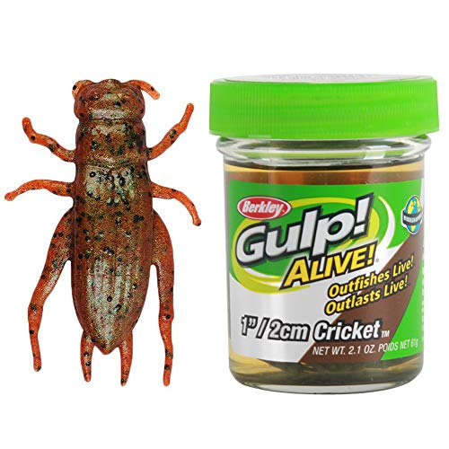 Berkley Gulp! Alive!® Cricket, Breen, 1-Inch