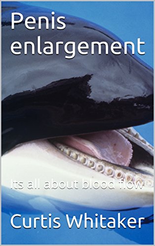 How many holes does a penis have How many holes does a penis have