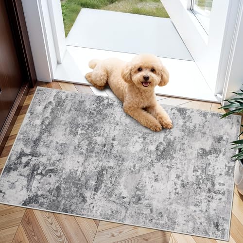 Hiloruug Abstract Non-Slip Entryway Rug