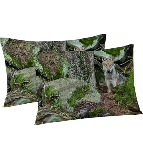 Housse de couette 160x200 loup gris avec 2 taies d'oreiller en microfibre kK771