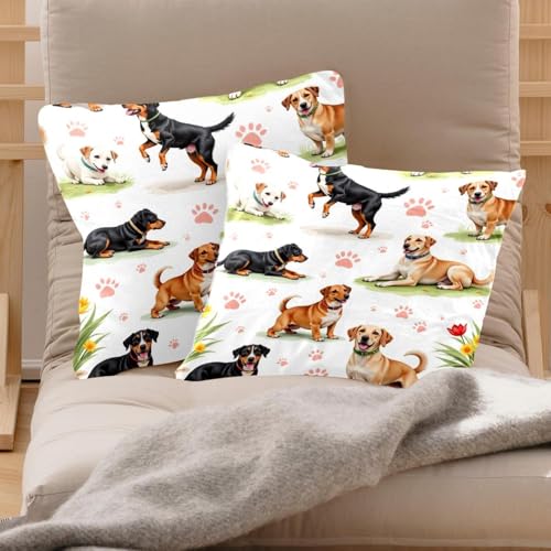 Fundas de almohada decorativas de terciopelo suave 50x50 3