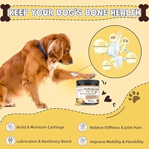 Dog Multivitamin Chewable with Minerals for Overall Health - Dog Vitamins and Supplements with Probiotics, Glucosamine, Chondroitin & Omega 3 for Immunity - Joint - Gut - Skin & Coat - 120 Chews Dog Multivitamin Chewable with Minerals for Overall Health – Dog Vitamins and Supplements with Probiotics, Glucosamine, Chondroitin & Omega 3 for Immunity – Joint – Gut – Skin & Coat – 120 Chews