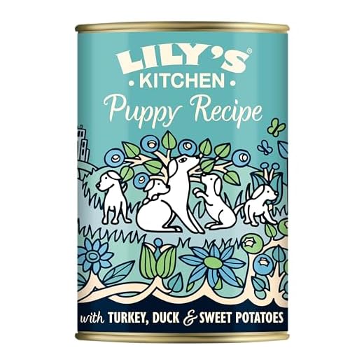 Lily's Kitchen Húmeda pienso para Cachorros Receta de Pavo y Pato (6 x 400g)