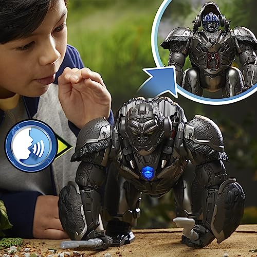 Transformers Toys Rise of the Beasts Command & Convert Animatronic Optimus Primal Toy, 12.5-Inch, Toys for Boys and Girls Ages 6 and Up by Transformers - Image 3