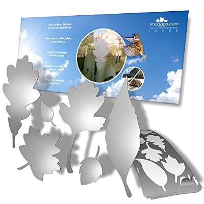 Calcomanías de protección para ventanas, pegatinas anticolisión para evitar que las personas y los pájaros golpeen en el cristal de la ventana, juego de 39 calcomanías de hojas de árbol, color: | Ya disponible en tu tienda friki favorita! En mundofriki.es! Calcomanías de protección para ventanas, pegatinas anticolisión para evitar que las personas y los pájaros golpeen en el cristal de la ventana, juego de 39 calcomanías de hojas de árbol, color: | Ya disponible en tu tienda friki favorita! En mundofriki.es!