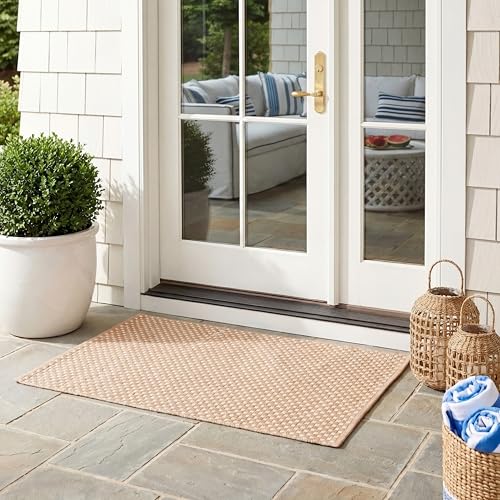 SAFAVIEH Washable Rug Outdoor Courtyard Collection...