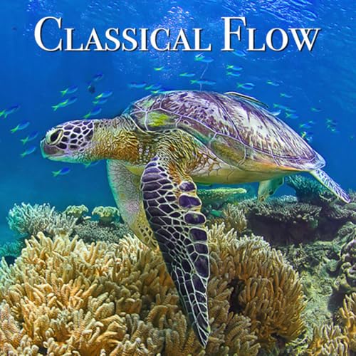 Lifestyle Music Group