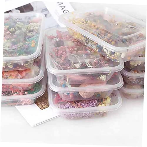 Holibanna 2 Caixas Flores secas de aromaterapia flor seca prensada variada decoração de unhas decora