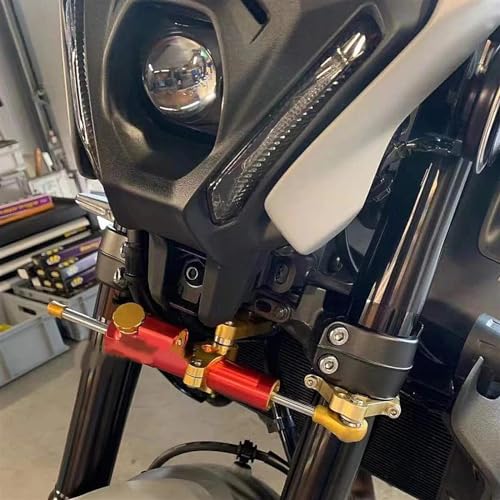 Kit support amortisseur direction contre le guidonnage de MT09 - 6