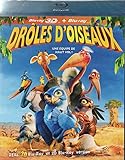 Drôles d'oiseaux