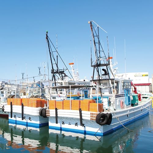 真面目漁師 濱ちゃんがご案内!関空クルージング(釜揚げしらすのお土産付き) 魚 魚介 海鮮 圧倒的企業努力
