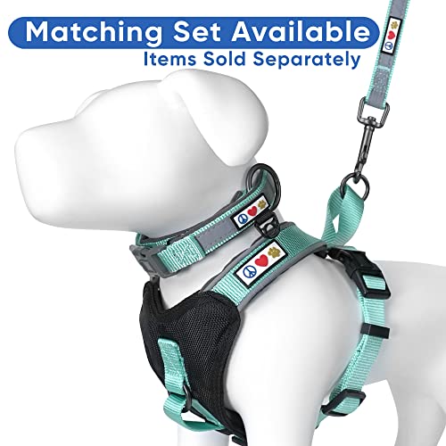 Pawtitas 6 Ft Padded Dog Leash With Comfortable Neoprene Padding Handle - Teal Lead | Small Reflective Dog Leash With Highly Reflective Band Perfect For Extra Small And Small Dogs And Puppies. #TOP5