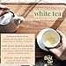 Ambrosia White Tea, Pyramid Sachet Tea Bags, Pai Mu Tan Fruity, Low-Caffeine, Antioxidant-Rich - 16 Cups | The Spice Hut, First Sip Of Tea